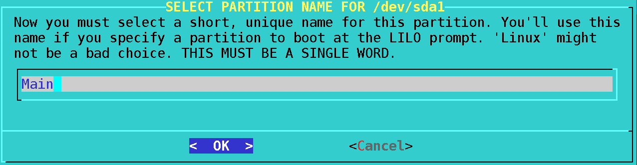 Showing the system name input screen in liloconfig