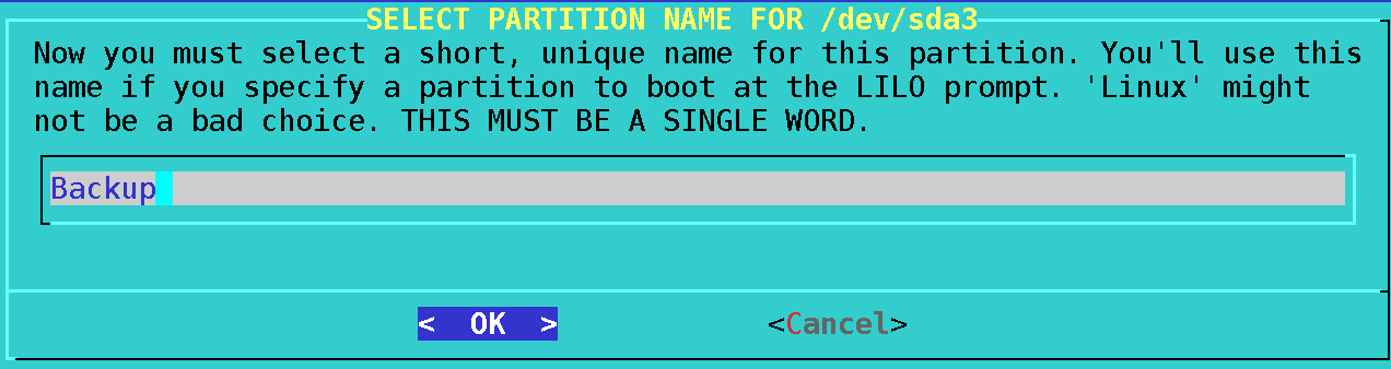 Showing the system name input screen in liloconfig