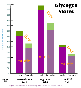 Comparison of glycogen stores on diets of various carbohydrate amounts