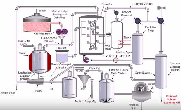 Seed oil extraction process
