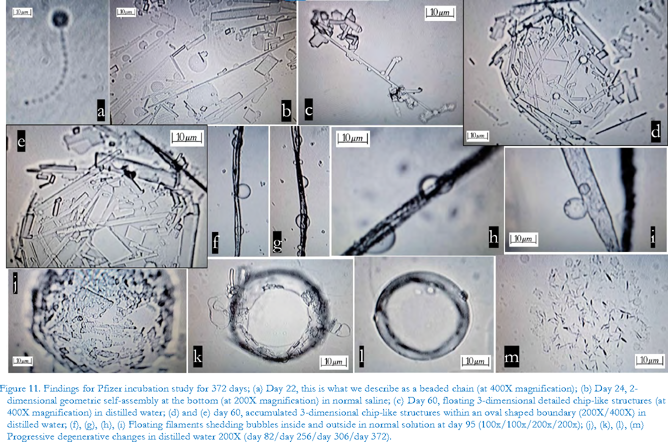 Even more complicated structures appearing when the vaccines are put in distilled or salt water